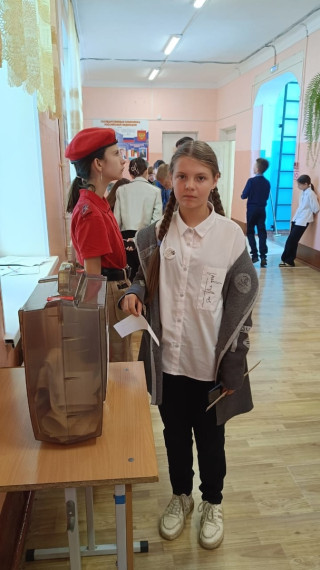 Выборы.